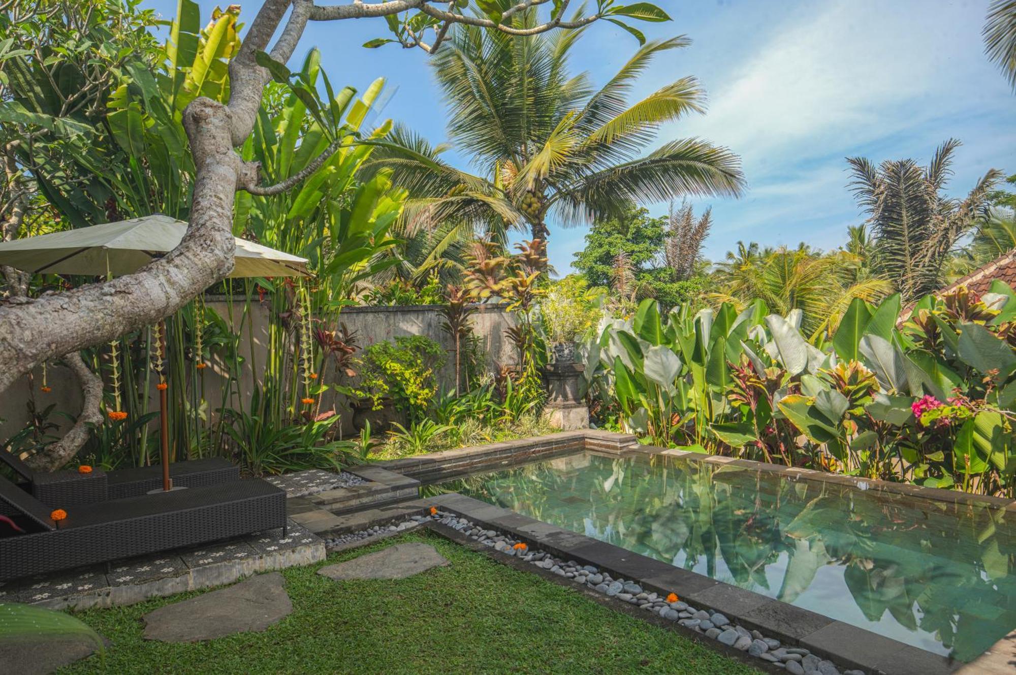 Taluh Bebek Ubud Private Villas מראה חיצוני תמונה