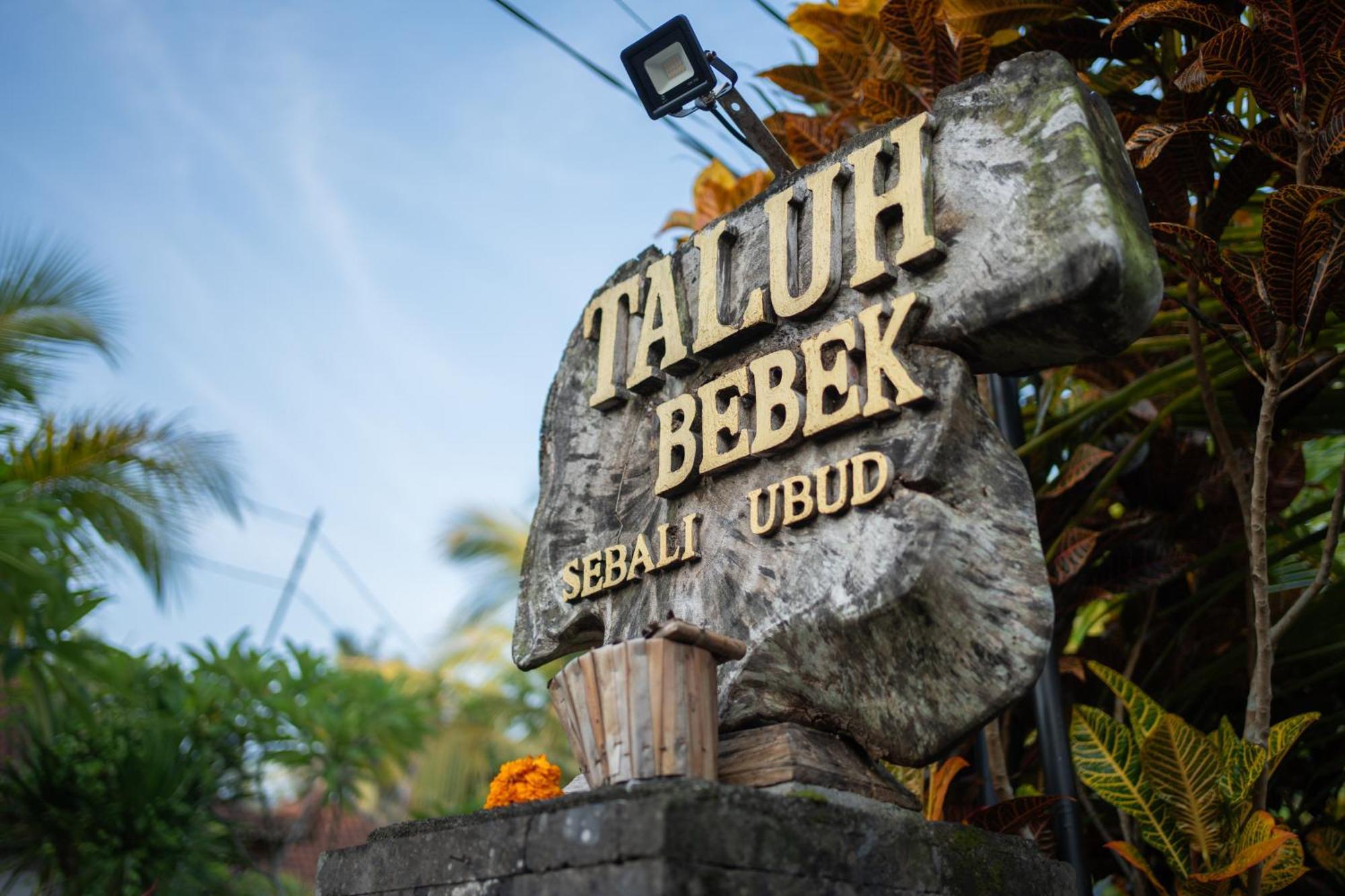 Taluh Bebek Ubud Private Villas מראה חיצוני תמונה