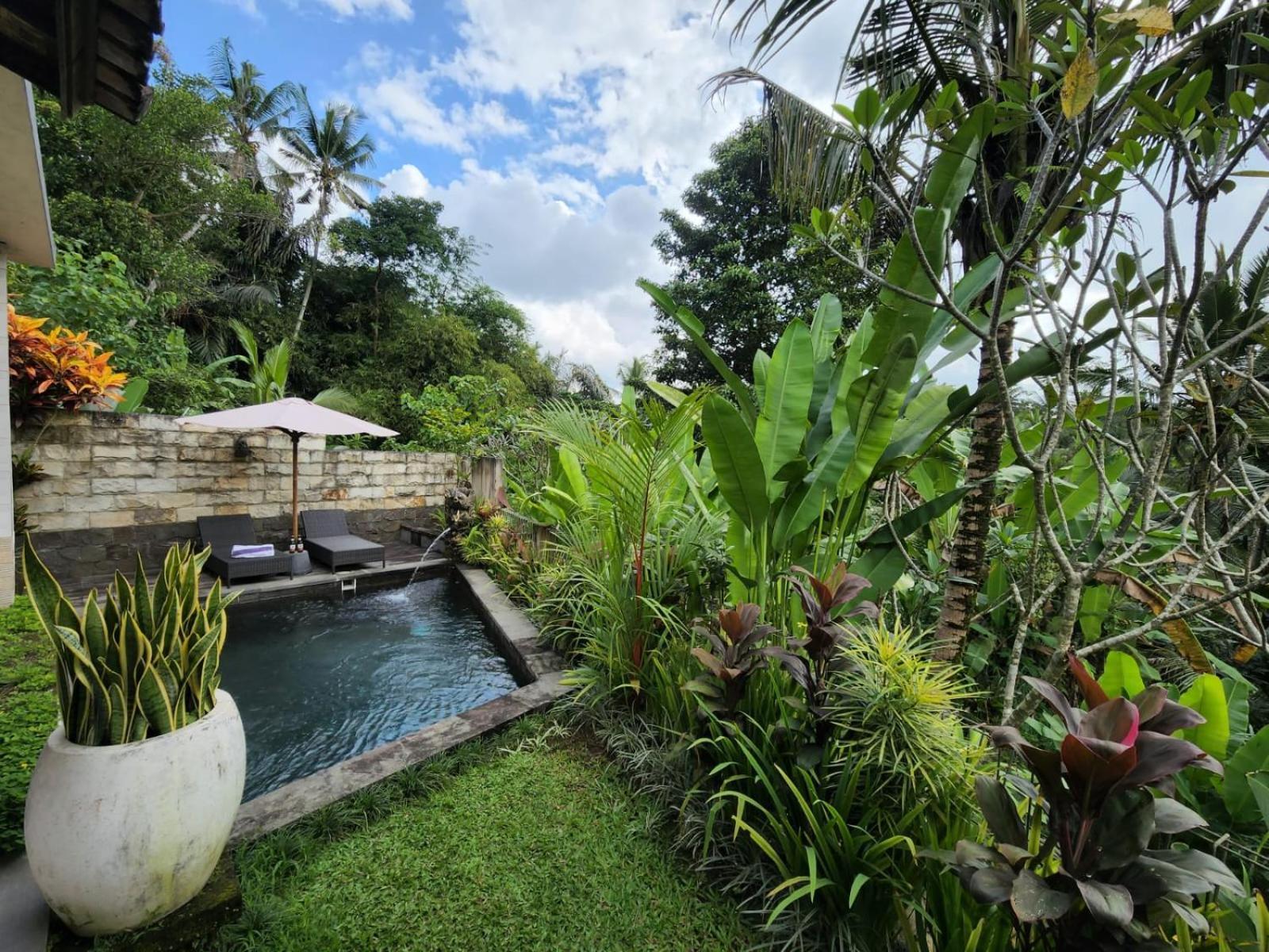 Taluh Bebek Ubud Private Villas מראה חיצוני תמונה